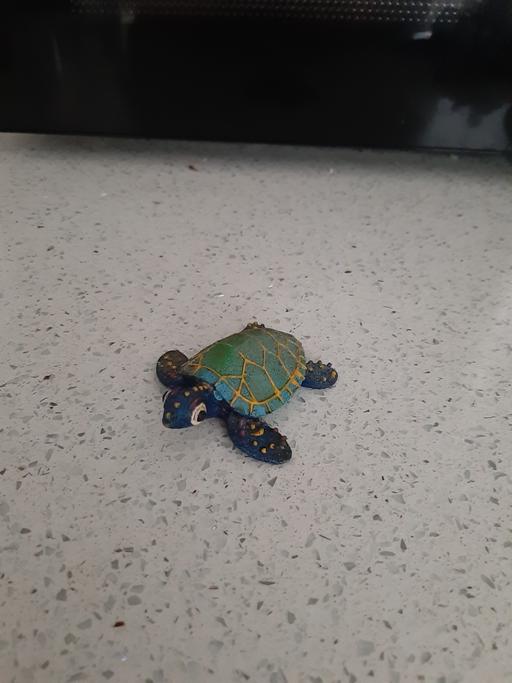 Buy & Sell South Hylton Sunderland - Photos for turtle