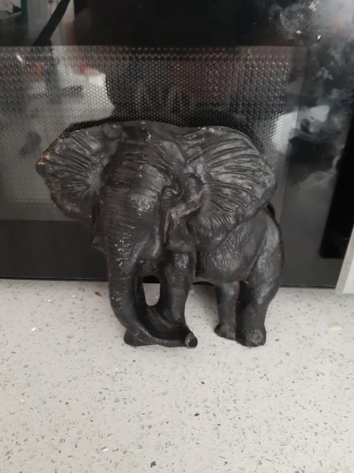 Buy & Sell South Hylton Sunderland - Photos for elephant