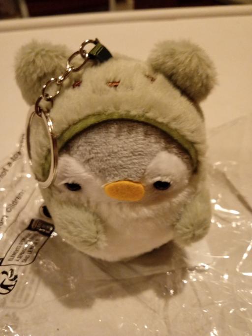 Buy & Sell Horncastle East Lindsey - Photos for brand new soft toy penguin keyring