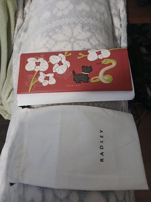 Buy & Sell Goole Fields East Riding of Yorkshire - Photos for luna snake radley