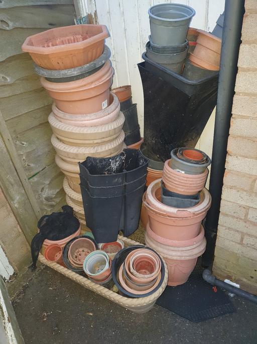 Buy & Sell Pensnett Dudley - Photos for Joblot Of Pots, Planters & Canes, Good Con.