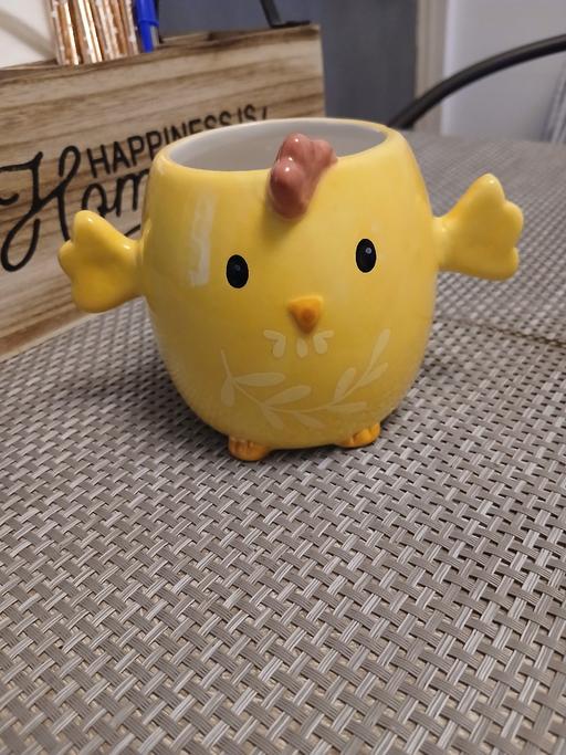 Buy & Sell Bradley Fold Trading Estate Bury - Photos for Chick Plant Pot New