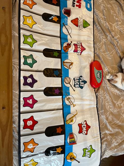 Buy & Sell Rowley Village Sandwell - Photos for Giant piano mat