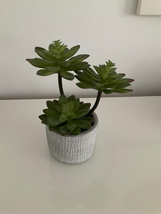 Buy & Sell Telford Way Industrial Estate North Northamptonshire - Photos for Next artificial plant