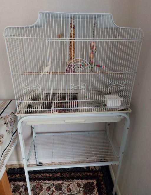 Buy & Sell Tividale Sandwell - Photos for White bird gage with stand
