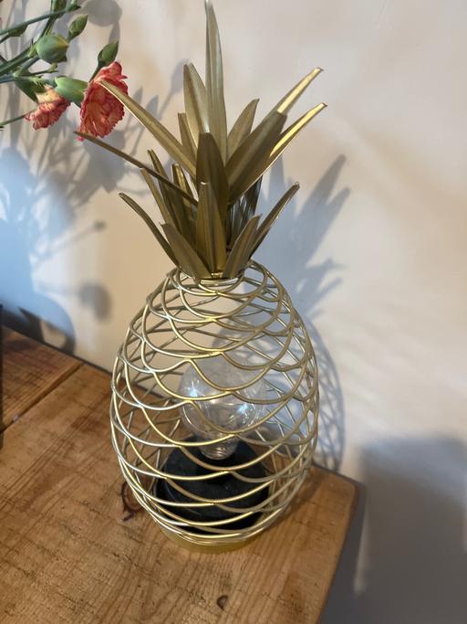 Buy & Sell Conisbrough Doncaster - Photos for Gold light up pineapple