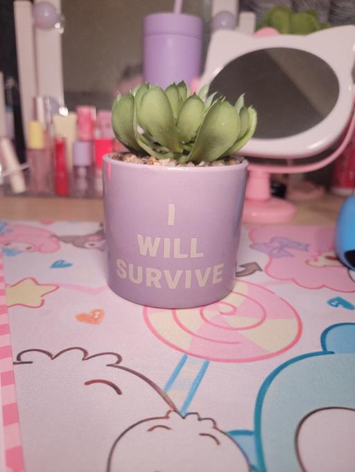 Buy & Sell Stechford Birmingham - Photos for Artificial Desk Plant