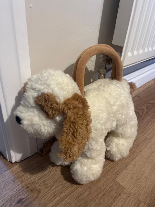 Buy & Sell Conisbrough Doncaster - Photos for Doggy handbag