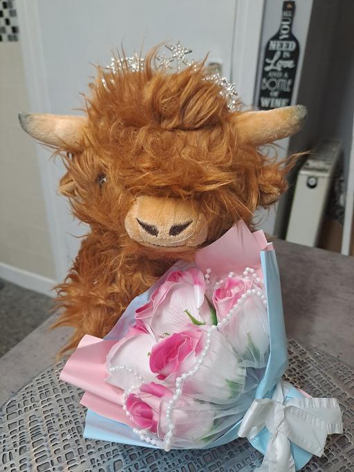 Buy & Sell Gleadless Valley Sheffield - Photos for highland cow with bouquet 💐