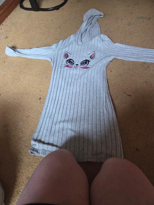 Buy & Sell Bevendean Brighton - Photos for grey cat