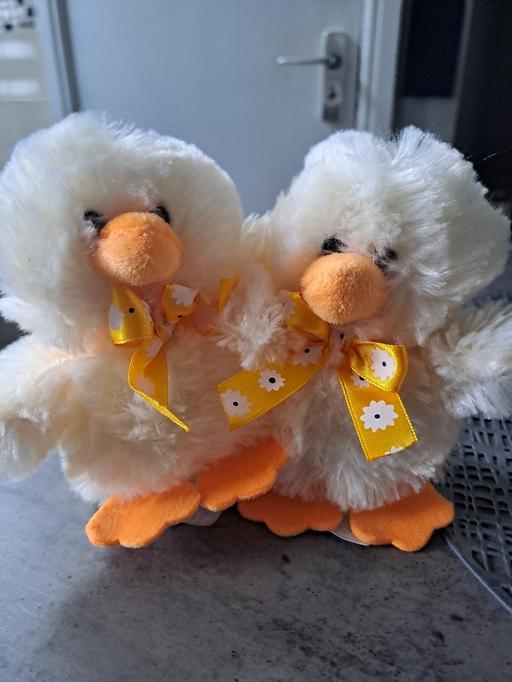 Buy & Sell Park Hill Sheffield - Photos for 2x chicks with sound