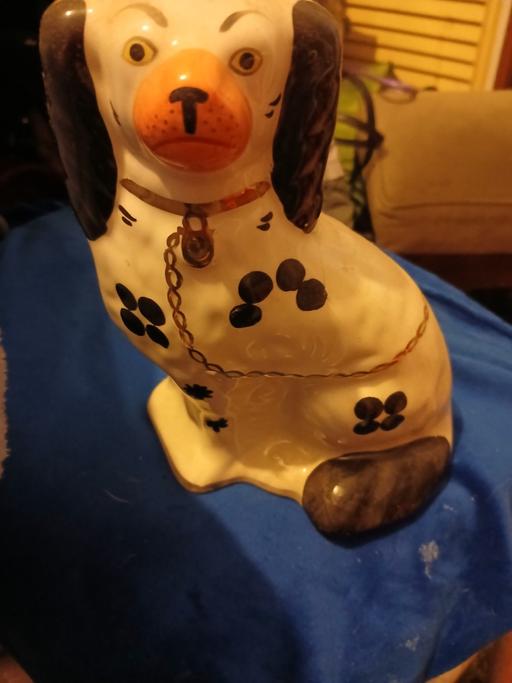 Buy & Sell Holly Hall Dudley - Photos for small old dog