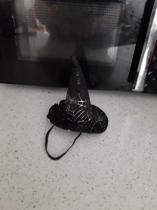 Buy & Sell South Hylton Sunderland - Photos for pet hat