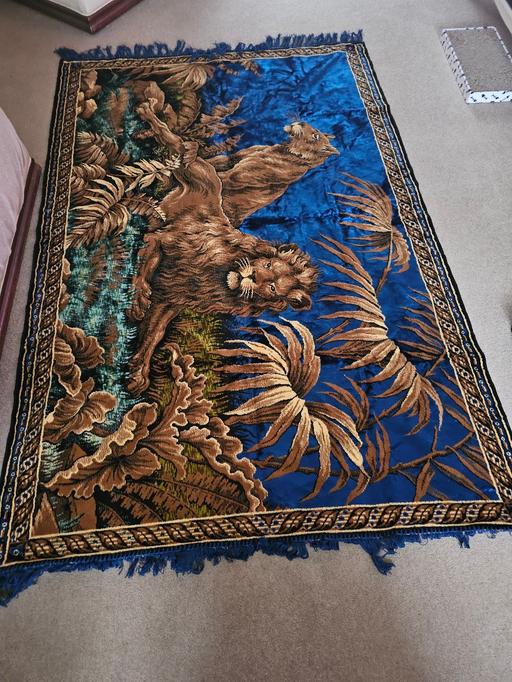 Buy & Sell Tividale Sandwell - Photos for large lion rug