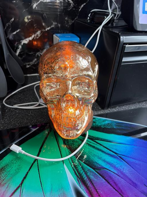 Buy & Sell Duckmanton Chesterfield - Photos for Scull lamp