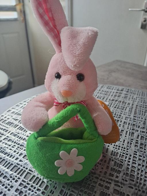 Buy & Sell Park Hill Sheffield - Photos for bunny with treat basket