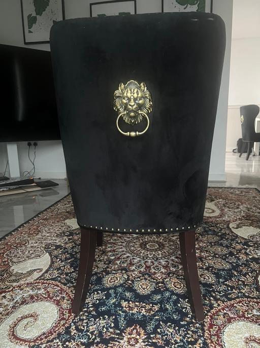 Buy & Sell Hayes Hillingdon - Photos for Velvet Dining chair with lion head handle -x4