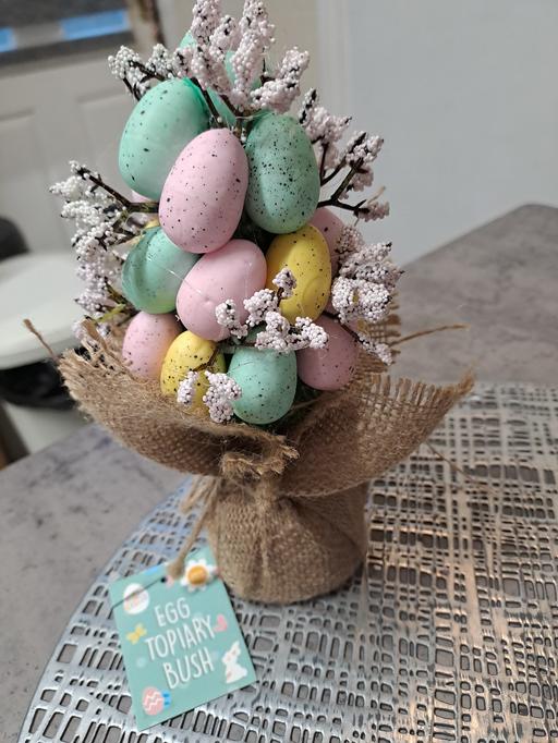 Buy & Sell Gleadless Valley Sheffield - Photos for egg topiary bush