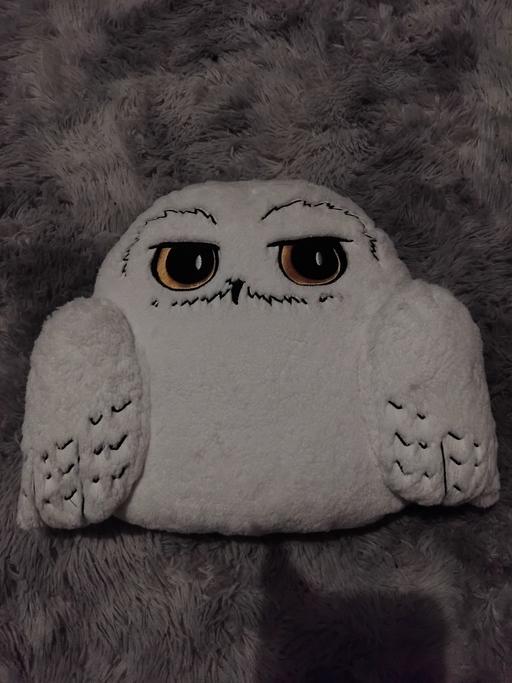 Buy & Sell Kings Norton Birmingham - Photos for hedwig cushion
