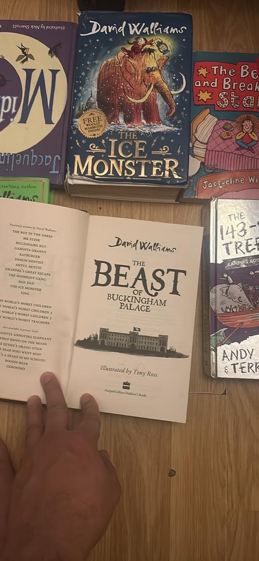 Buy & Sell Saltley Birmingham - Photos for Job lot individual kids teenage books £1 each