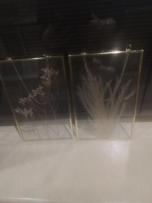 Buy & Sell Aldridge Walsall - Photos for TWO,SMALL GLASS FRAMES WITH PRESSED FERN