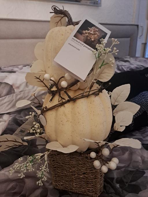 Buy & Sell Heeley Sheffield - Photos for light up pumpkin stack