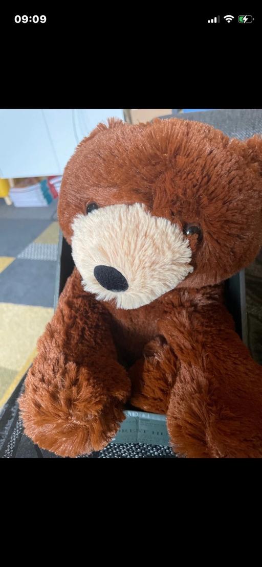 Buy & Sell Maypole Birmingham - Photos for New Forest Hugs Heatable Bear Clearance