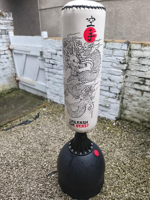 Buy & Sell Workington Cumberland - Photos for weighted base punch bag