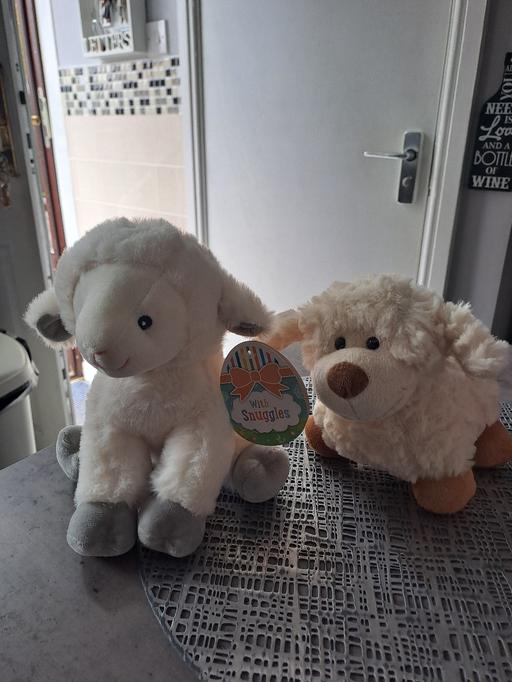 Buy & Sell Gleadless Valley Sheffield - Photos for 2 new easter lambs