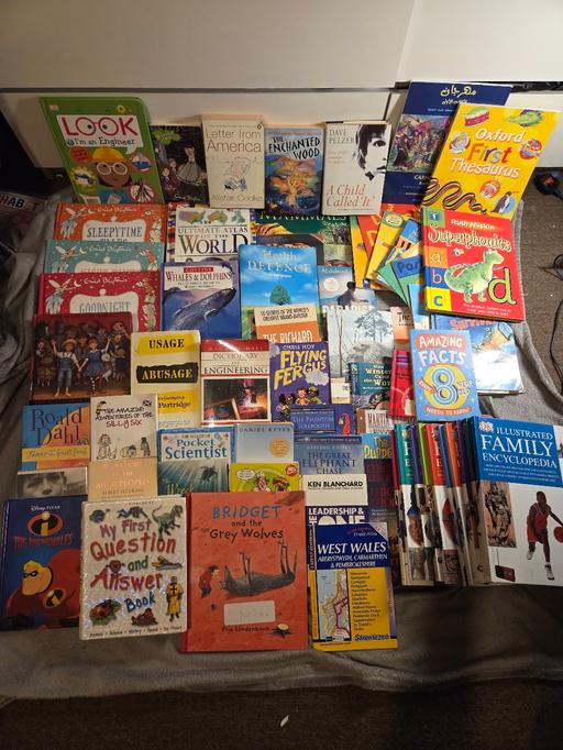 Buy & Sell Saltley Birmingham - Photos for Bundle books various ages and genres