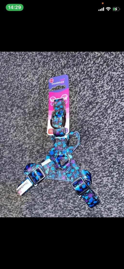 Buy & Sell Maypole Birmingham - Photos for New Dog Doodlebone Harness
