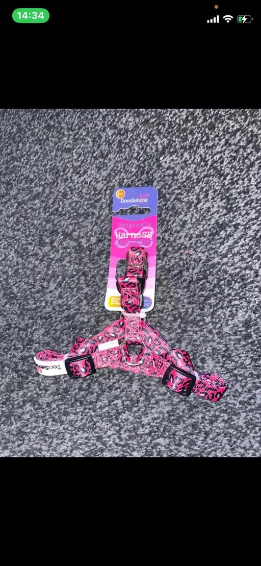 Buy & Sell Kings Heath Birmingham - Photos for New Dog Doodlebone Harness