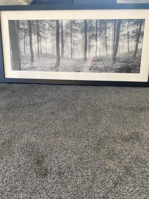 Buy & Sell Bramley Rotherham - Photos for John Lewis Picture