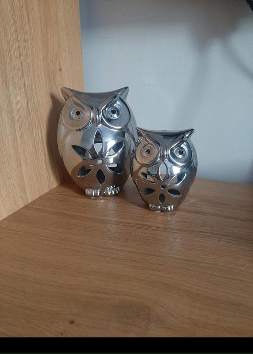 Buy & Sell Netherton Dudley - Photos for owl tea light candle holders