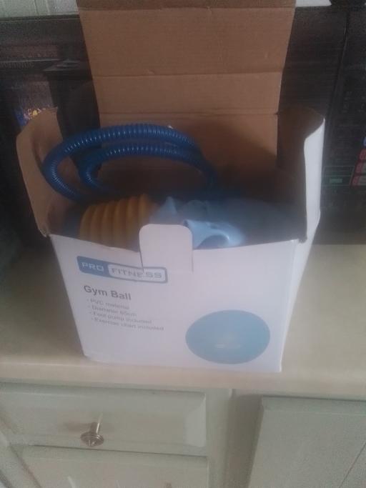 Buy & Sell Streetly Walsall - Photos for PRO FITNESS GYM BALL WITH PUMP