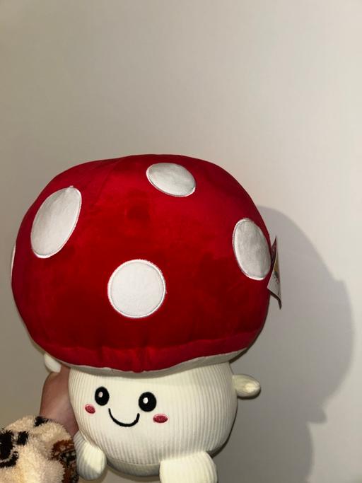 Buy & Sell Kirkby Knowsley - Photos for Smoochy pals plush