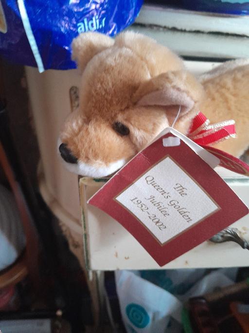 Buy & Sell Netherton Dudley - Photos for the queen's jubelie dog