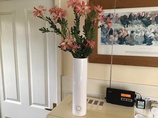 Buy & Sell Essington Wolverhampton - Photos for Vase and flowers