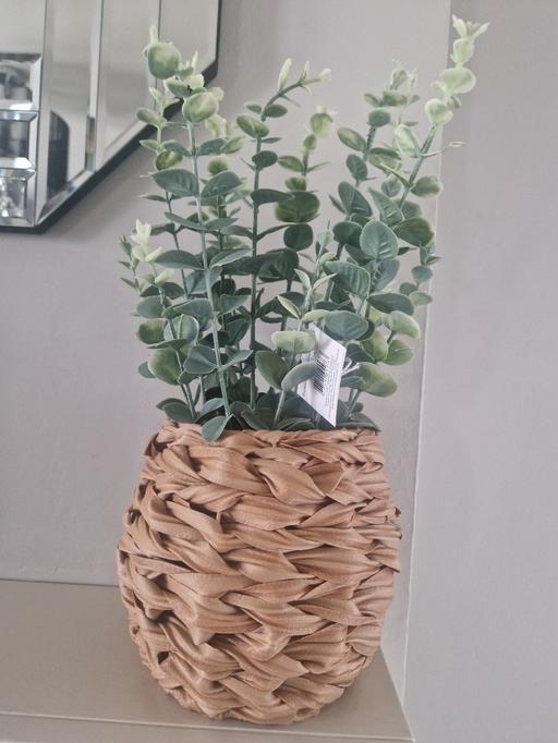 Buy & Sell Chapeltown Sheffield - Photos for New artificial plant with tags