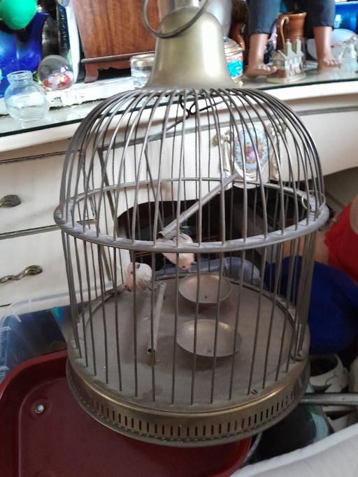 Buy & Sell Netherton Dudley - Photos for big brass cage needs clean