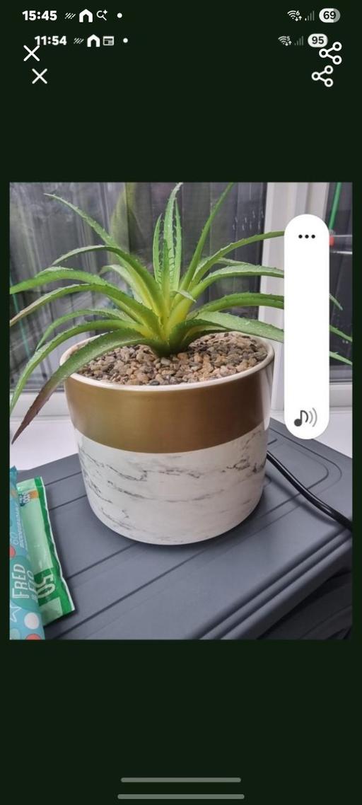 Buy & Sell Rowley Regis Sandwell - Photos for artifial plant