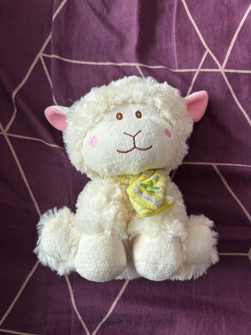 Buy & Sell Golds Hill Sandwell - Photos for Lamb teddy