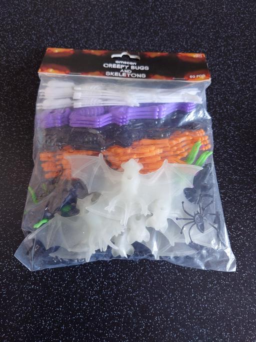 Buy & Sell Loughborough Charnwood - Photos for Bag of Halloween creepy bugs and skeletons