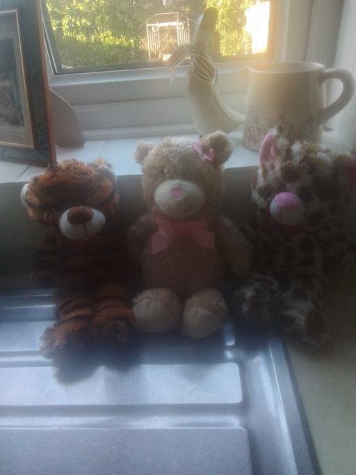 Buy & Sell Aldridge Walsall - Photos for THREE LOVELY TEDDIES