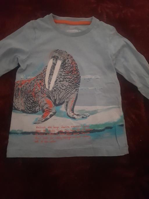 Buy & Sell Longley Sheffield - Photos for boys top aged 2 to 3 years