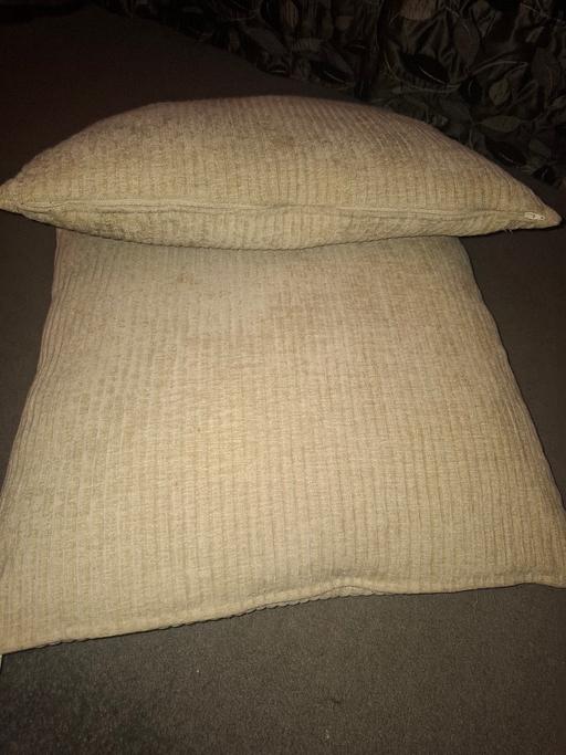Buy & Sell Dodworth Barnsley - Photos for 2 cream cushions