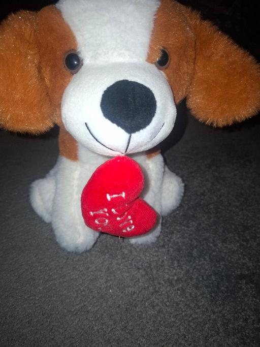 Buy & Sell Dodworth Barnsley - Photos for I love u dog teddy
