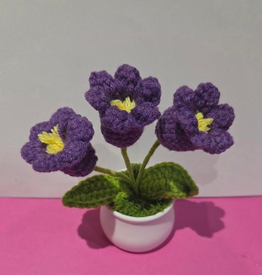 Buy & Sell Westgate-on-Sea Thanet - Photos for CROCHET CROCUS FLOWERS