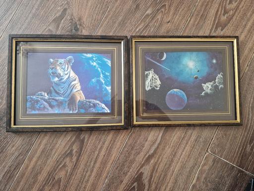 Buy & Sell Bartley Green Birmingham - Photos for animal pictures