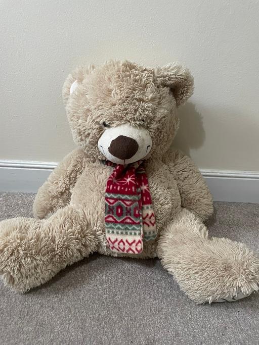 Buy & Sell Ynysddu Caerphilly - Wales - Photos for Plush teddy